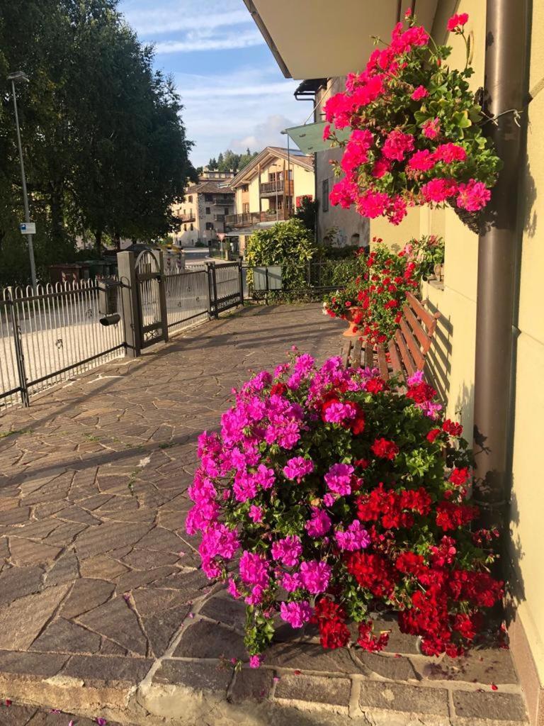 Appartamento Luminoso, Giardino, Vista Dolomiti. Baselga di Pinè Exterior foto